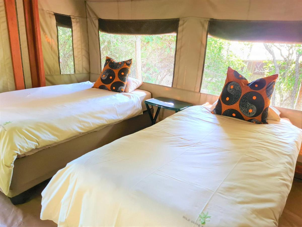 Hotel The Wild Olive Tree Camp Welverdiend  Zewnętrze zdjęcie