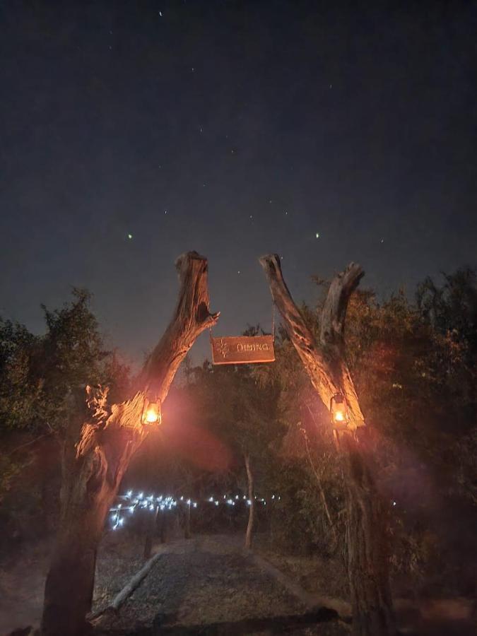 Hotel The Wild Olive Tree Camp Welverdiend  Zewnętrze zdjęcie