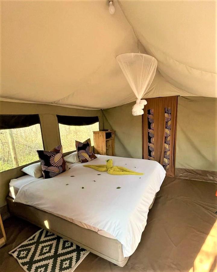 Hotel The Wild Olive Tree Camp Welverdiend  Zewnętrze zdjęcie